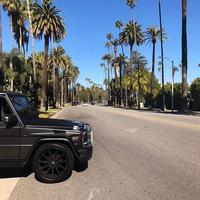 Отзыв от Рустам - DTV виза